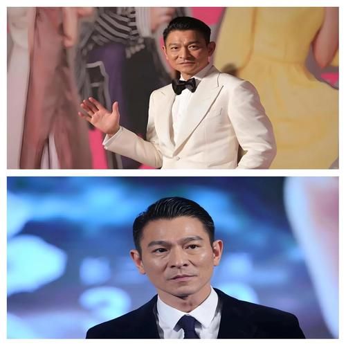 苏有朋和刘德华：从青涩到成熟，他们的演艺之路