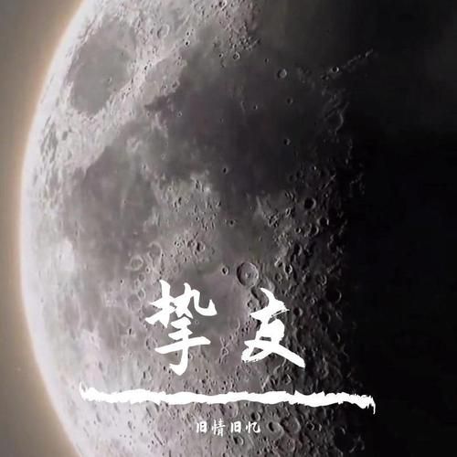 藕断丝连刘德华粤语版歌词解析与歌曲背景介绍