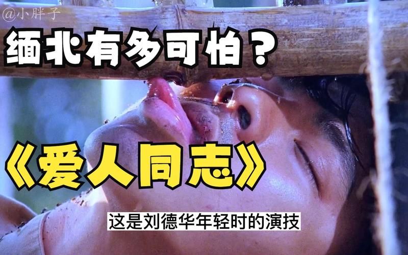 解析刘德华在爱人同志粤语电影中的角色塑造