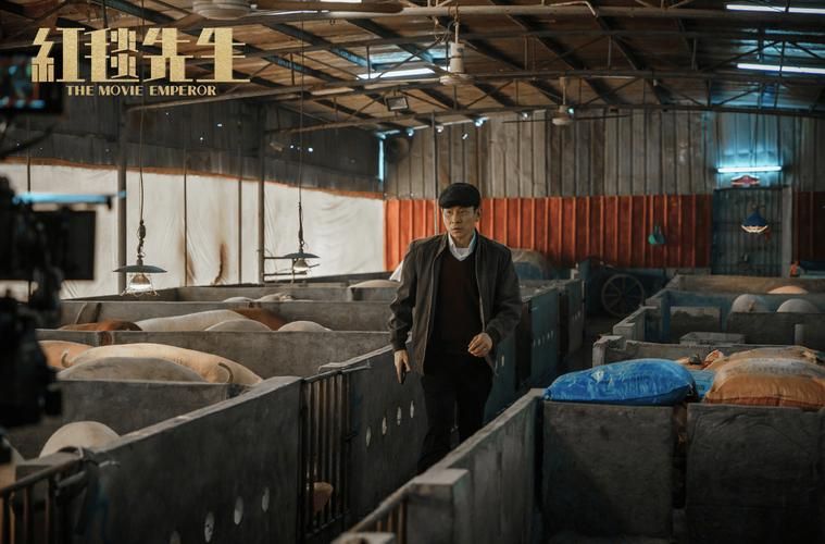 让子弹飞刘德华演了什么角色 揭秘华仔戏份