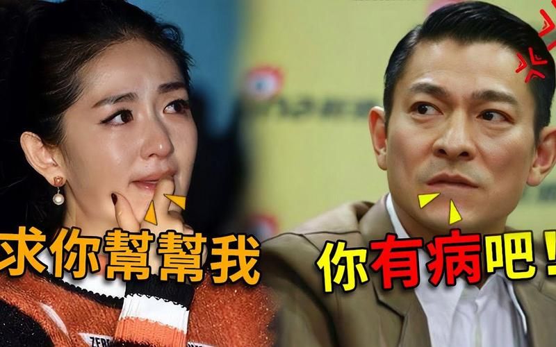 谢娜刘德华：娱乐圈的那些趣事和八卦