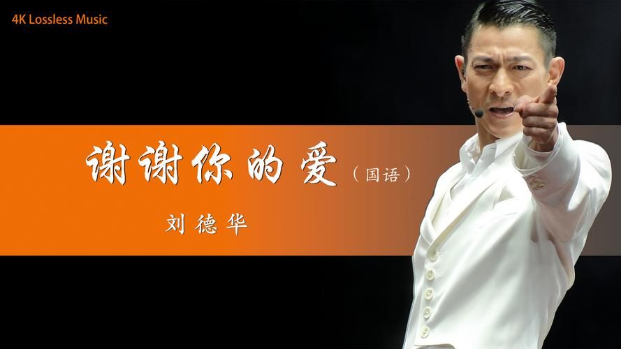 谢谢你的爱粤语刘德华演唱版本对比与推荐