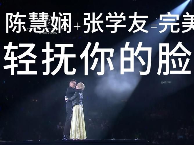 轻抚你的脸张学友演唱技巧与情感处理