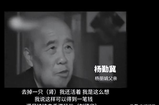 追刘德华的杨丽娟当年为何如此疯狂如今后悔吗