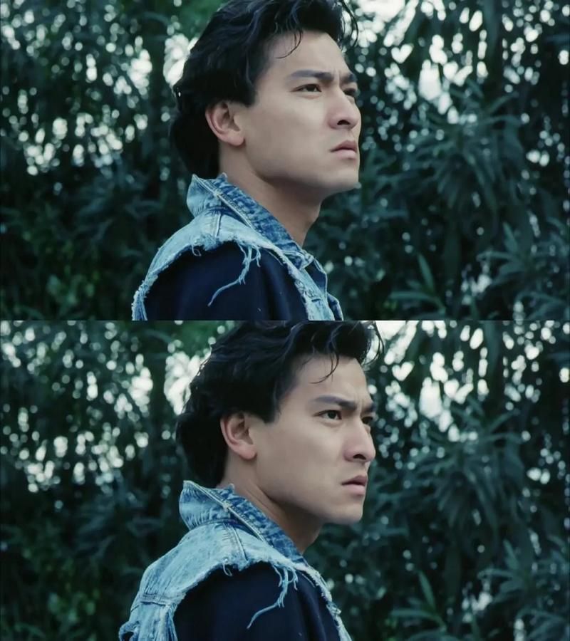 追梦人刘德华电影插曲的演唱技巧与情感表达
