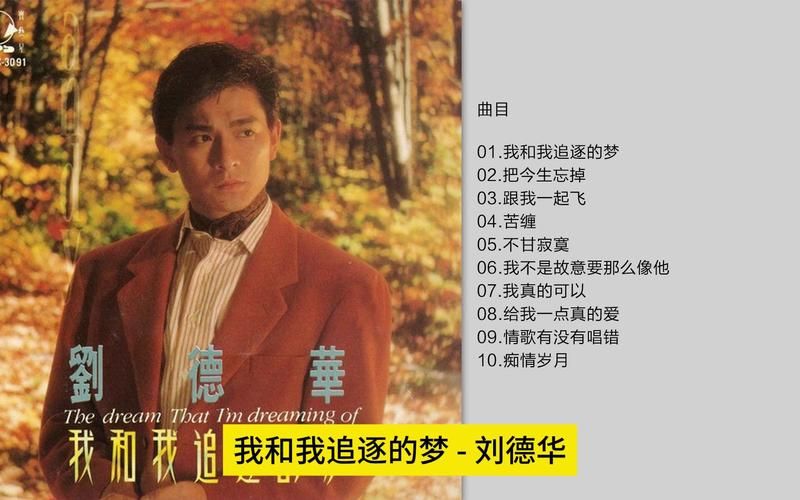 追梦人刘德华电影插曲的演唱技巧与情感表达