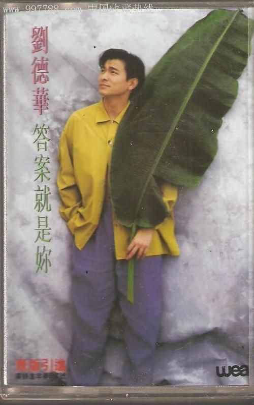 那些你可能不知道的刘德华粤语歌：隐藏的宝藏歌曲