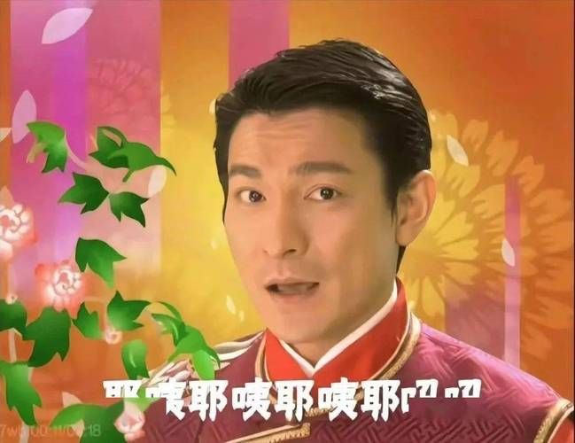 那些年，我们一起笑过的刘德华搞笑图片