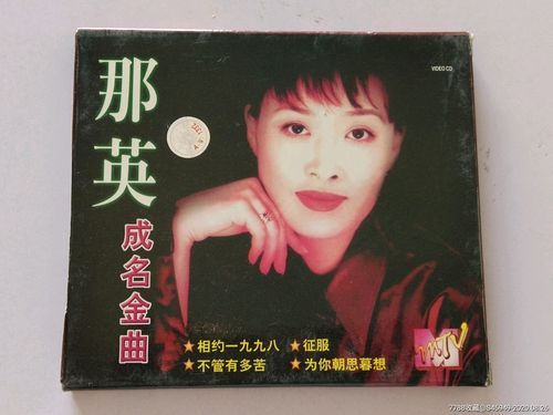 那英不管有多苦歌词解析背后的故事与情感