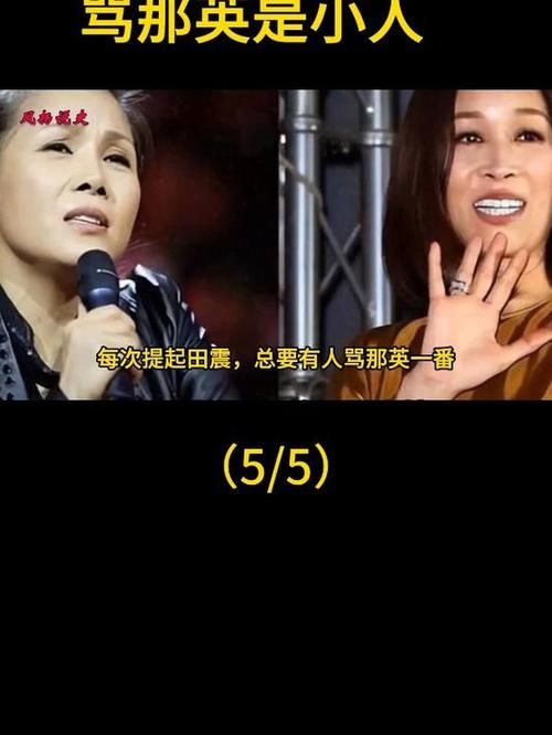 那英为什么被骂 看看大家怎么说