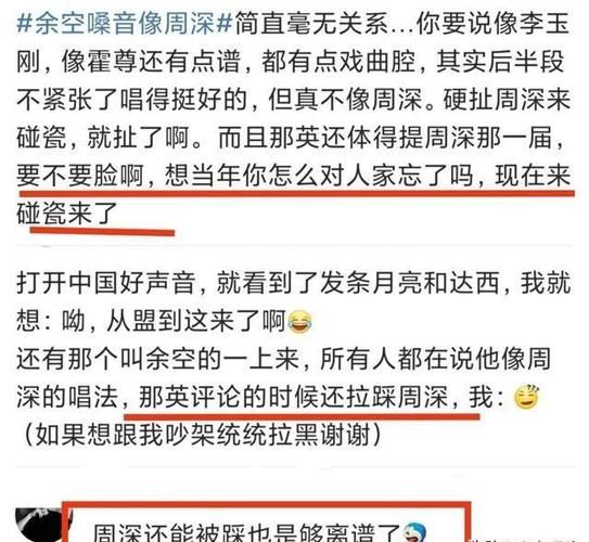 那英为什么被骂 看看大家怎么说