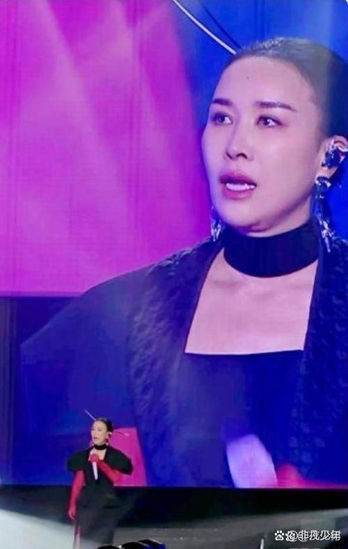 那英为什么被黑 从好声音到刀郎事件全解析