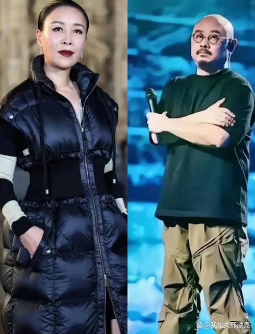 那英为什么被黑 从好声音到刀郎事件全解析