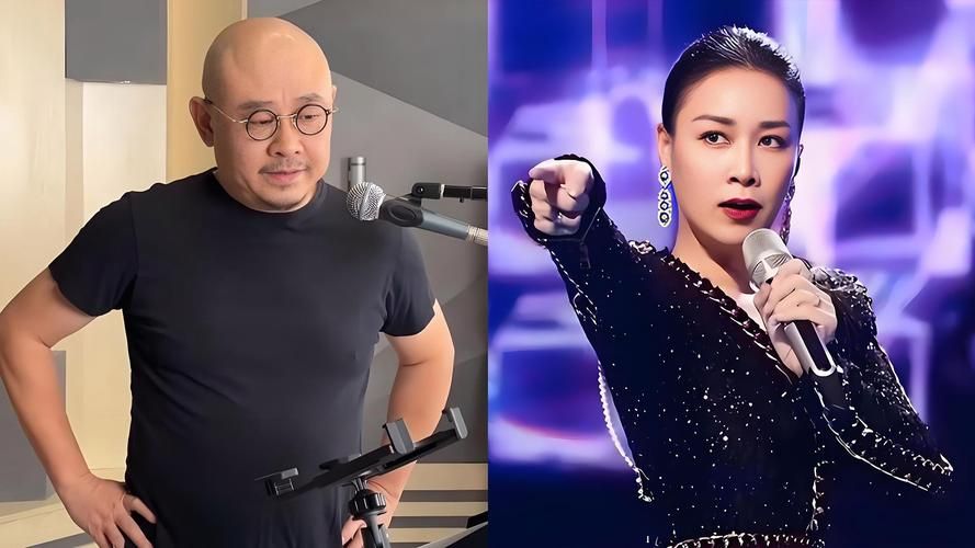 那英为何反感刀郎 音乐理念不合还是另有隐情