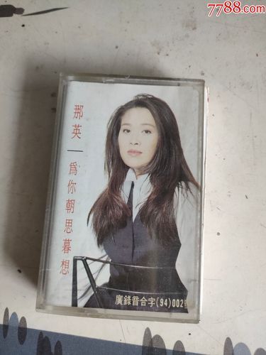 那英为你朝思暮想歌词解析唱出多少人心声