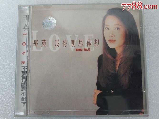 那英为你朝思暮想歌词解析唱出多少人心声