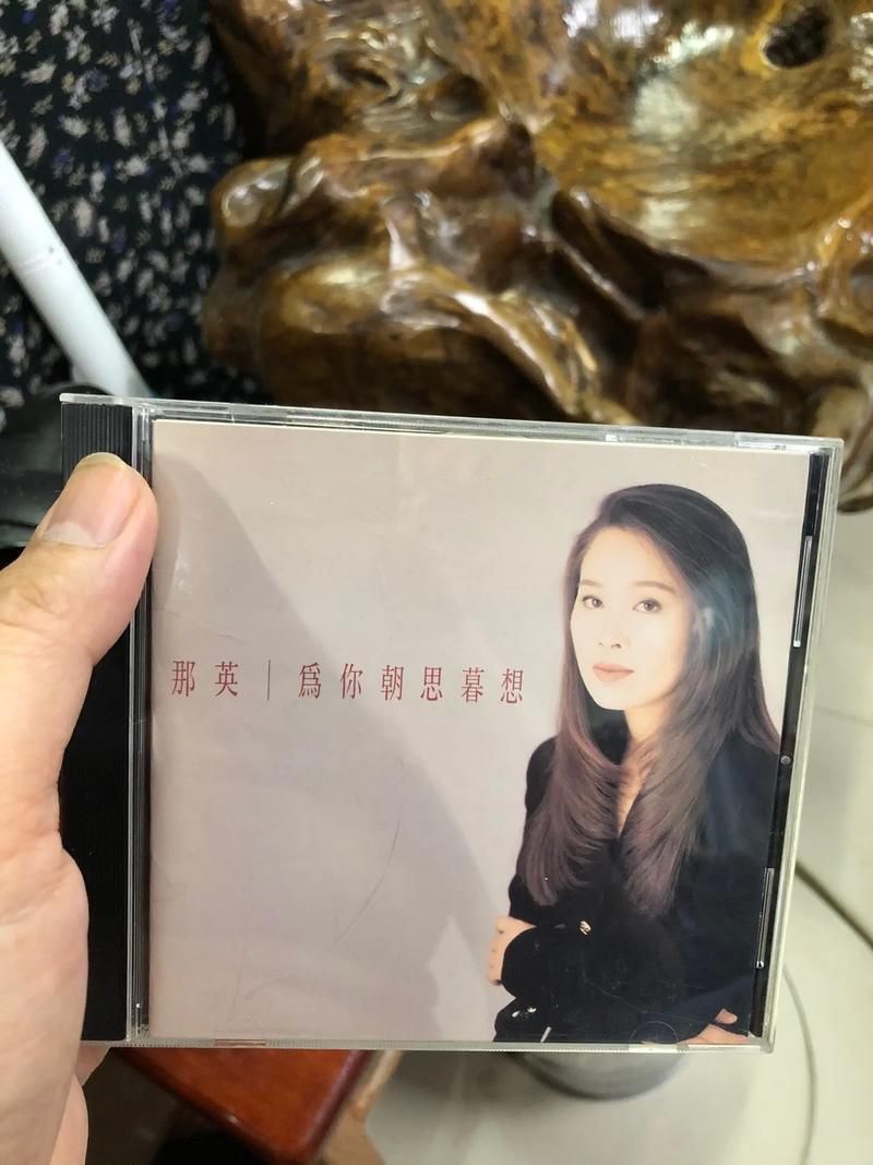那英为你朝思暮想歌词解析唱出多少人心声