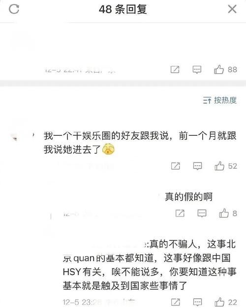 那英事件引发争议 网友分成两派吵翻天