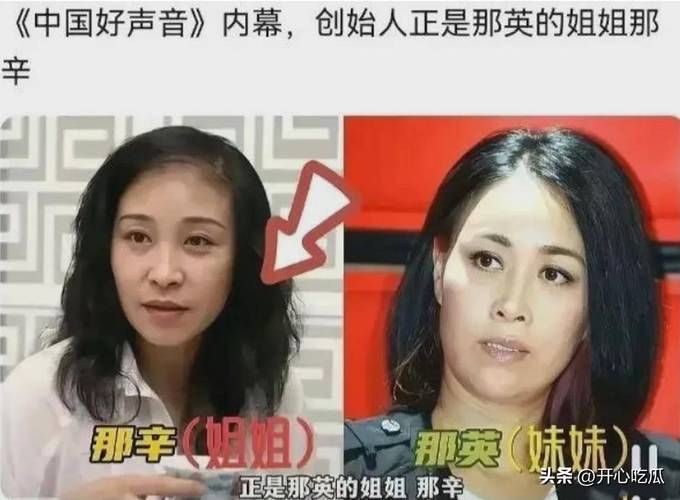 那英事件是什么 揭秘天后近期争议风波始末