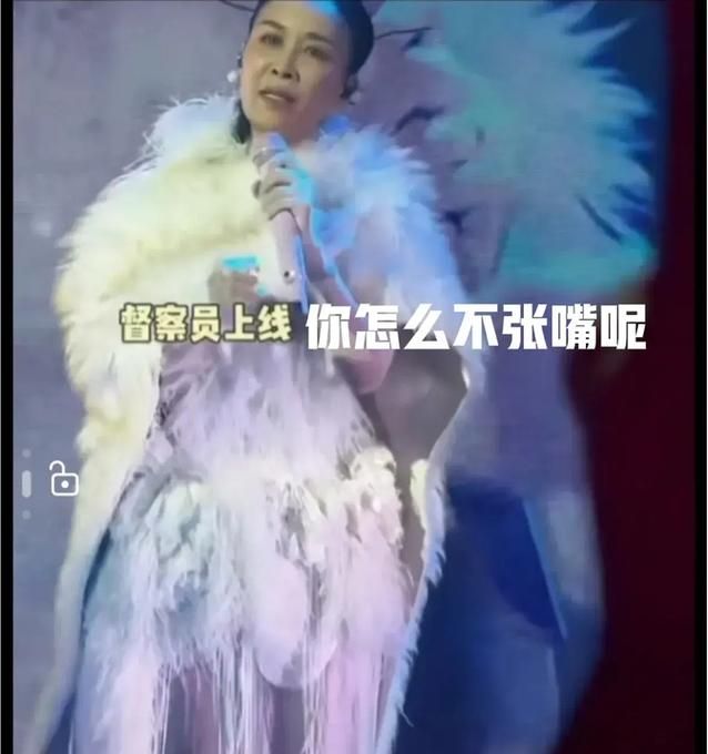 那英假唱被扒 演唱会真实水平遭质疑