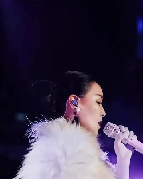 那英全经典演唱会现场视频完整版高清回顾