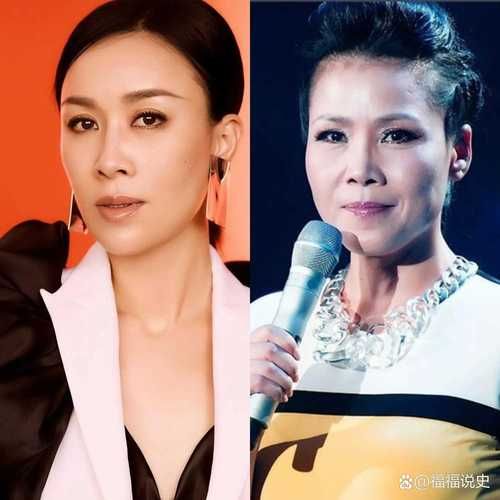 那英几年出生今年多大了她的年龄是多少