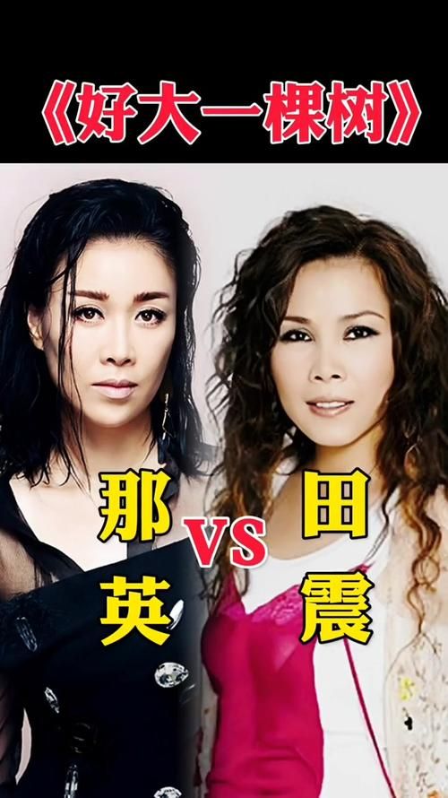 那英和四美合唱歌曲大盘点哪首是你的最爱