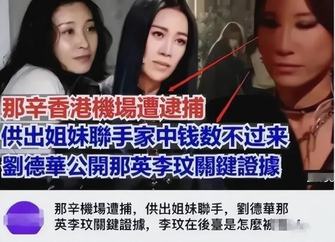 那英和浙江卫视关系揭秘两人合作背后的故事
