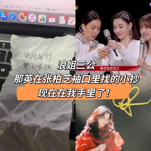 那英和灿星关系揭秘 两人合作内幕首次曝光