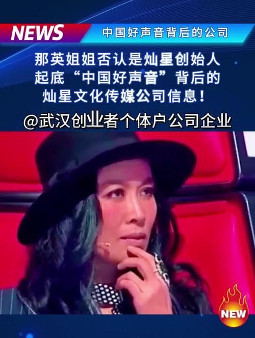 那英和灿星关系揭秘 两人合作内幕首次曝光