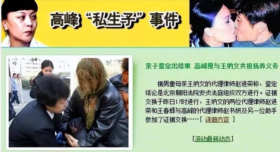 那英和高峰的儿子现状如何父母离婚后的生活