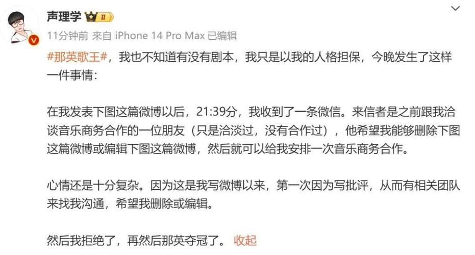 那英唱功业内评价从专业角度分析她的嗓音特点