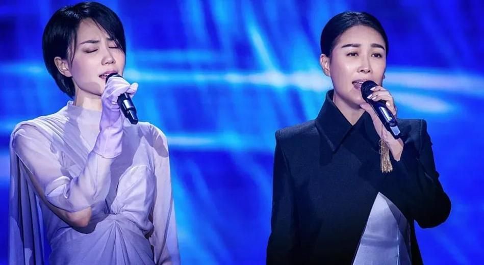 那英唱功业内评价从专业角度分析她的嗓音特点