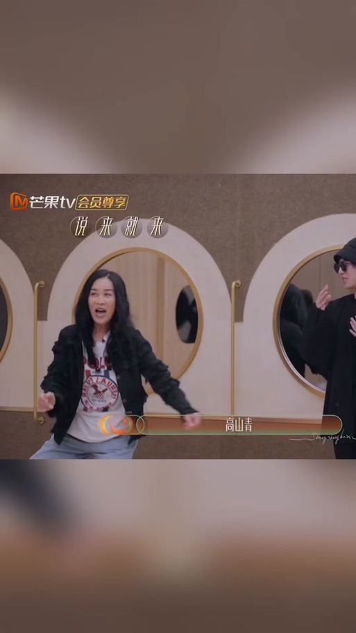 那英四朵金花是谁 四位天后级歌手的辉煌历程