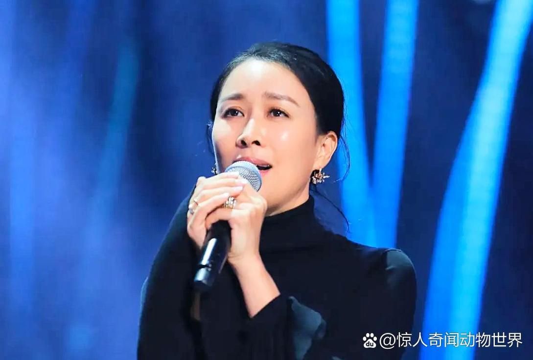 那英在歌坛的地位与影响力她的歌声征服了多少人