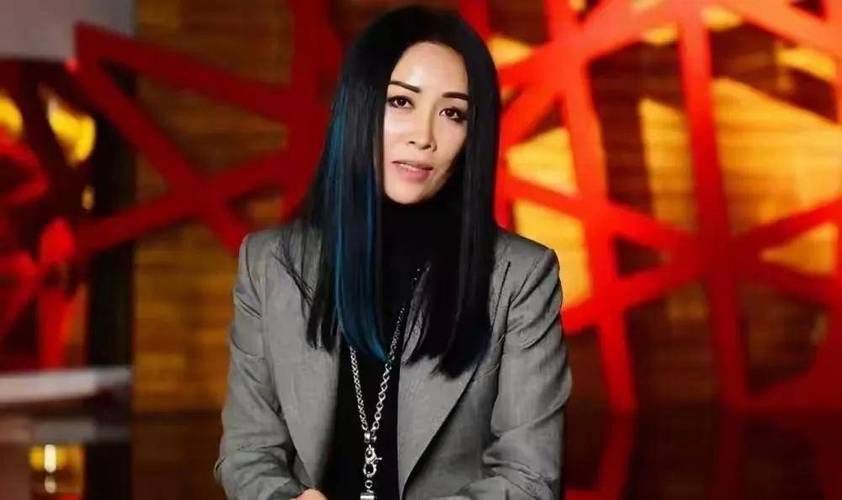 那英在歌坛的地位与影响力她的歌声征服了多少人