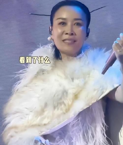 那英垃圾事件持续发酵背后真相令人震惊