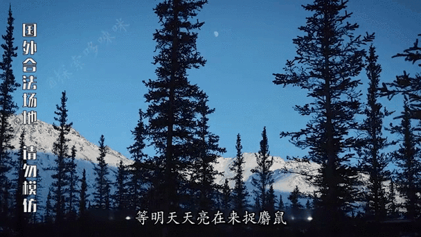 那英墨最新动态曝光粉丝直呼太惊喜