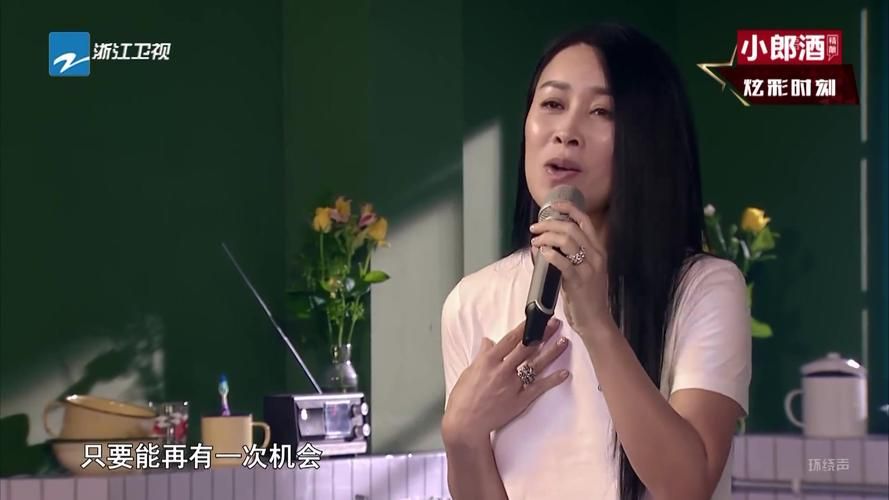 那英好声音经典瞬间回顾 这些画面最难忘