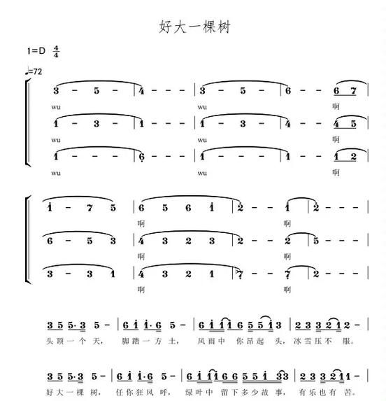 那英好大一棵树歌词含义 这首歌想表达什么