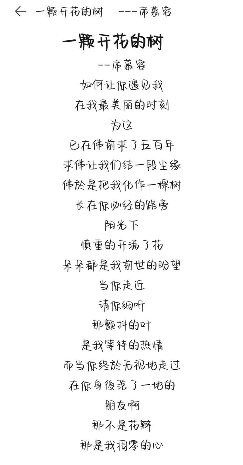 那英好大一棵树歌词含义 这首歌想表达什么