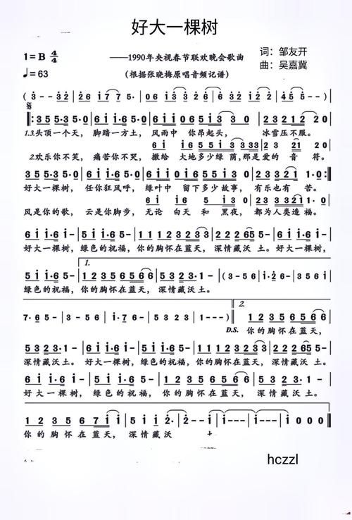 那英好大一棵树歌词含义 这首歌想表达什么