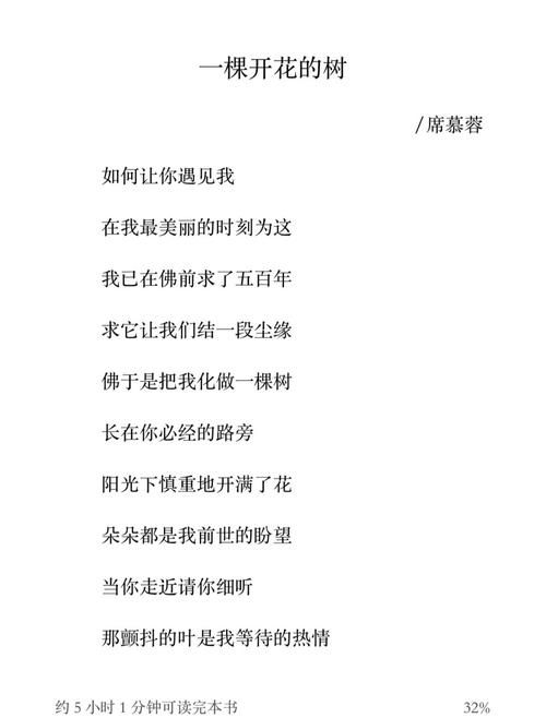 那英好大一棵树歌词含义 这首歌想表达什么