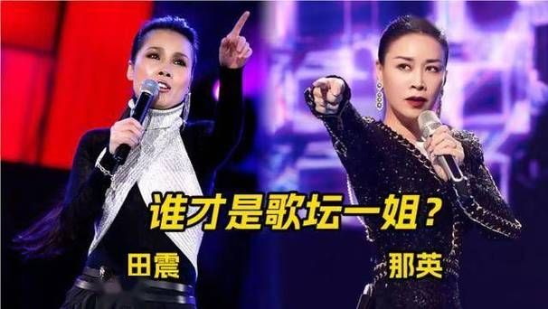 那英好大一棵树歌词含义 这首歌想表达什么