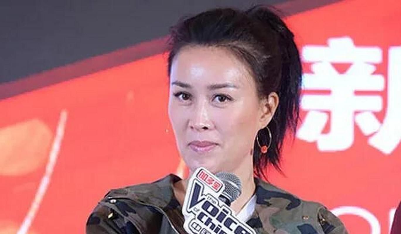 那英好大一棵树歌词解析与创作背景揭秘
