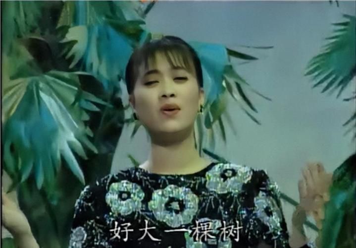 那英好大一棵树背后的感人故事你知道吗