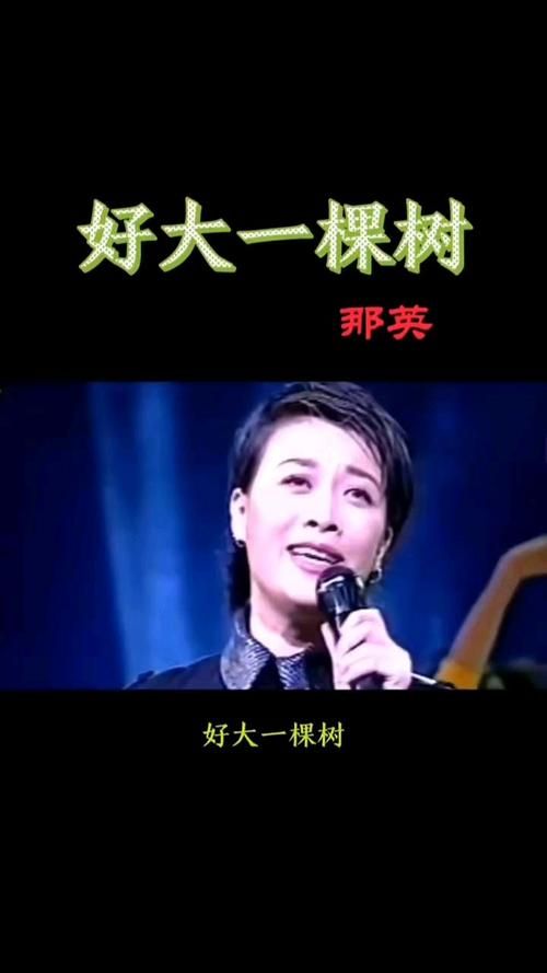 那英好大一棵树背后的感人故事你知道吗