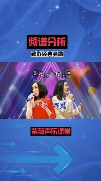 那英好大一棵树背后的感人故事你知道吗