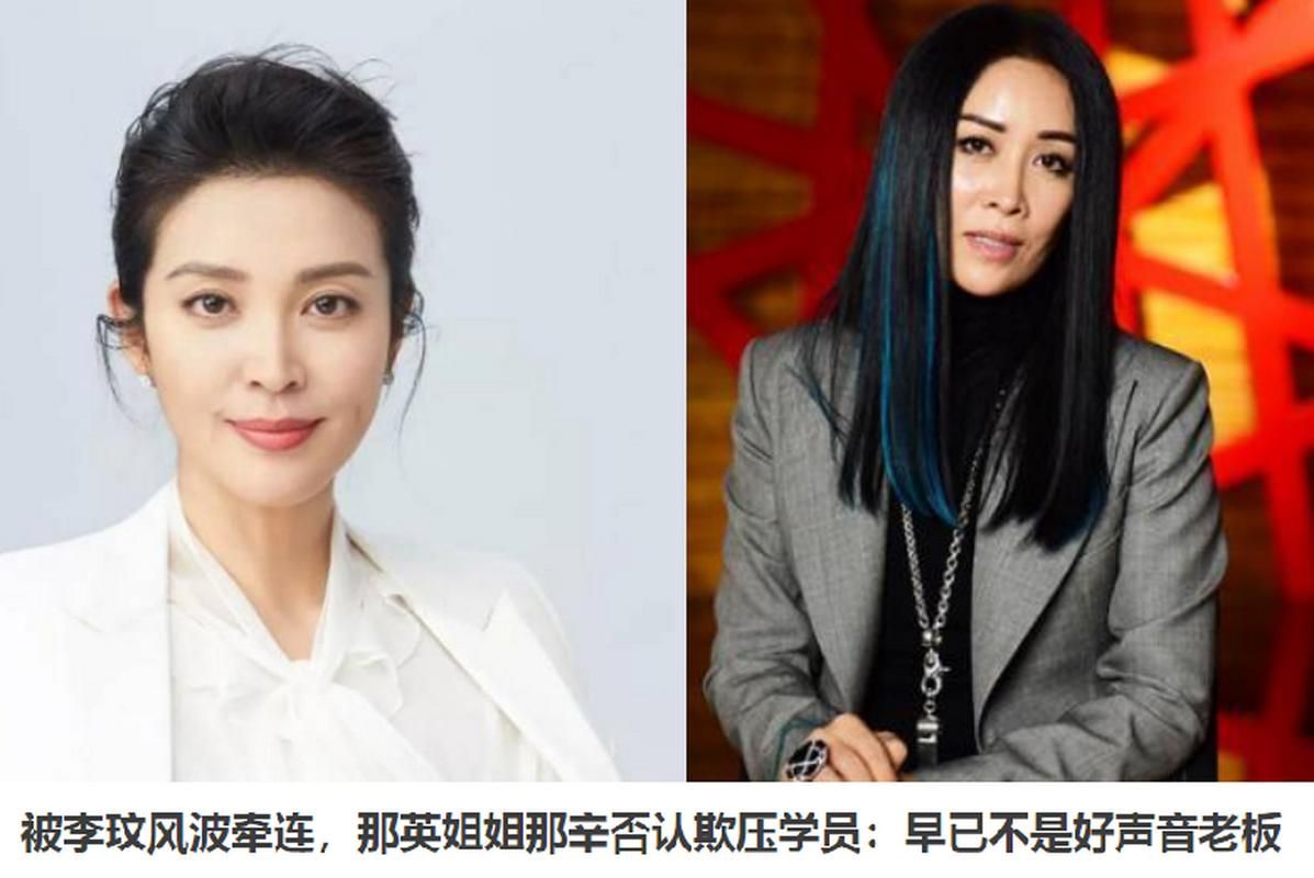 那英姐年轻时照片对比现在变化大吗