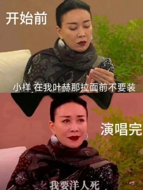 那英姓什么原来她的姓氏这么特别